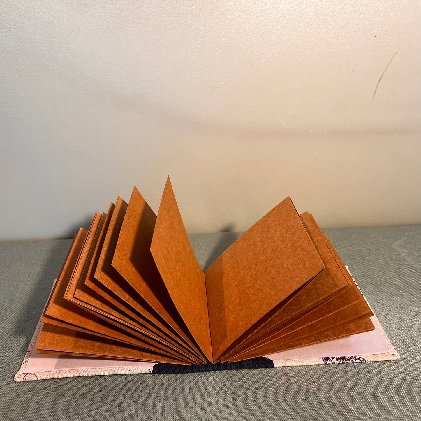 Mini Album Photo Instax